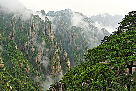 老婆乖乖是什么药C1B8D97C5-18975